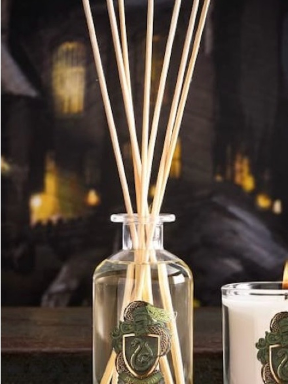 Pottery Barn Harry Potter Slytherin House Reed Diffuser